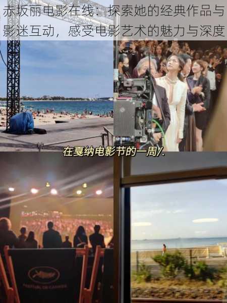 赤坂丽电影在线:探索她的经典作品与影迷互动,感受电影艺术的魅力与深度