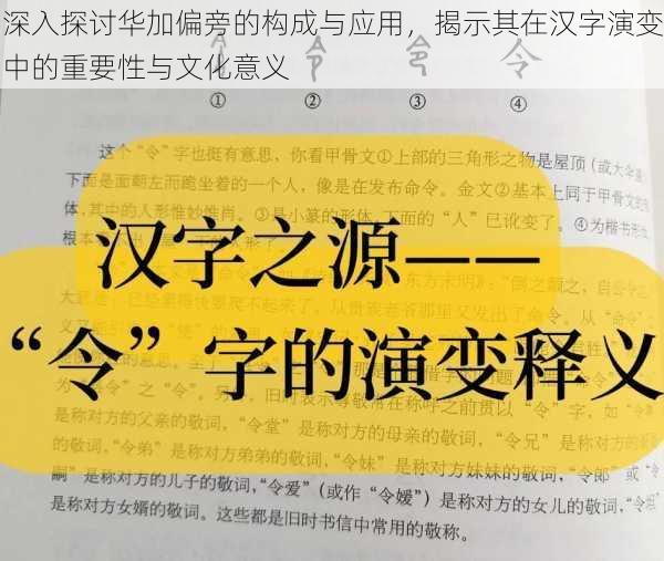 深入探讨华加偏旁的构成与应用,揭示其在汉字演变中的重要性与文化意义