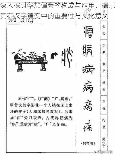 深入探讨华加偏旁的构成与应用,揭示其在汉字演变中的重要性与文化意义
