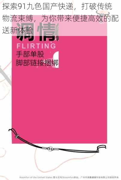 探索91九色国产快递，打破传统物流束缚，为你带来便捷高效的配送新体验