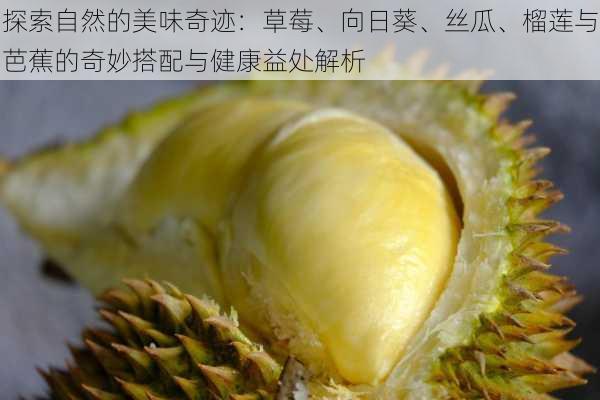 探索自然的美味奇迹:草莓、向日葵、丝瓜、榴莲与芭蕉的奇妙搭配与健康益处解析