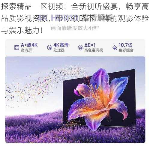 探索精品一区视频:全新视听盛宴,畅享高品质影视资源,带你领略不一样的观影体验与娱乐魅力!