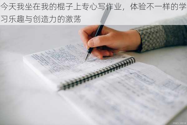 今天我坐在我的棍子上专心写作业,体验不一样的学习乐趣与创造力的激荡