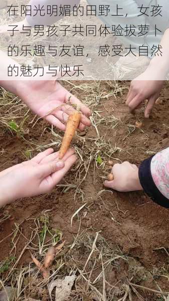 在阳光明媚的田野上,女孩子与男孩子共同体验拔萝卜的乐趣与友谊,感受大自然的魅力与快乐
