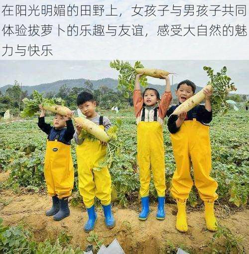 在阳光明媚的田野上,女孩子与男孩子共同体验拔萝卜的乐趣与友谊,感受大自然的魅力与快乐