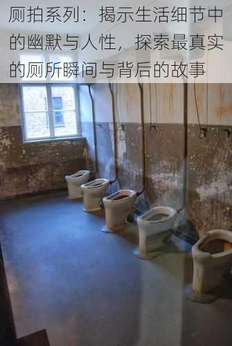 厕拍系列:揭示生活细节中的幽默与人性,探索最真实的厕所瞬间与背后的故事