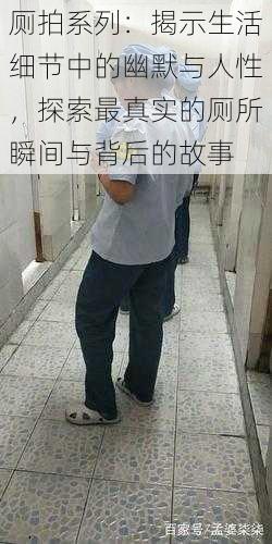 厕拍系列:揭示生活细节中的幽默与人性,探索最真实的厕所瞬间与背后的故事