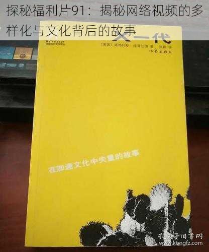 探秘福利片91：揭秘网络视频的多样化与文化背后的故事