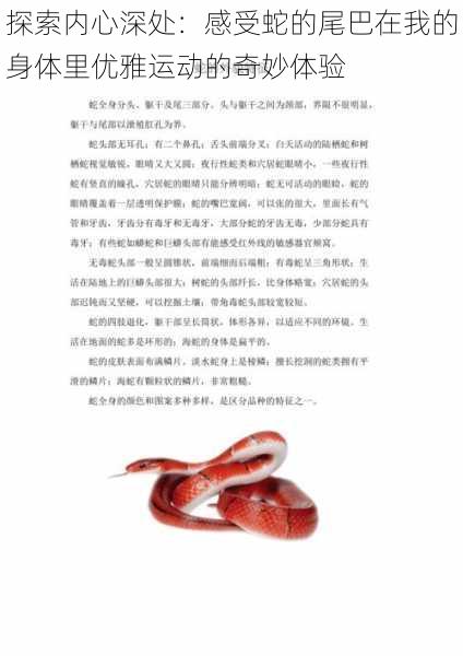 探索内心深处:感受蛇的尾巴在我的身体里优雅运动的奇妙体验