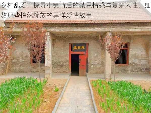 乡村乱爱：探寻小镇背后的禁忌情感与复杂人性，细数那些悄然绽放的异样爱情故事