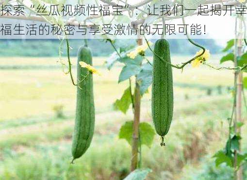 探索“丝瓜视频性福宝”:让我们一起揭开幸福生活的秘密与享受激情的无限可能!