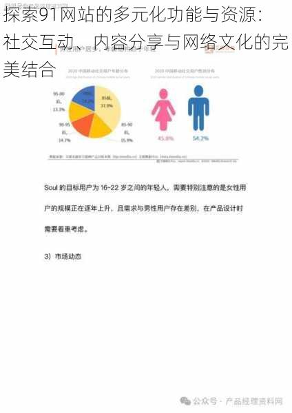 探索91网站的多元化功能与资源:社交互动、内容分享与网络文化的完美结合