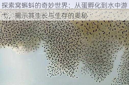 探索窝蝌蚪的奇妙世界：从蛋孵化到水中游弋，揭示其生长与生存的奥秘