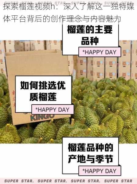 探索榴莲视频h:深入了解这一独特媒体平台背后的创作理念与内容魅力