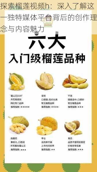 探索榴莲视频h:深入了解这一独特媒体平台背后的创作理念与内容魅力