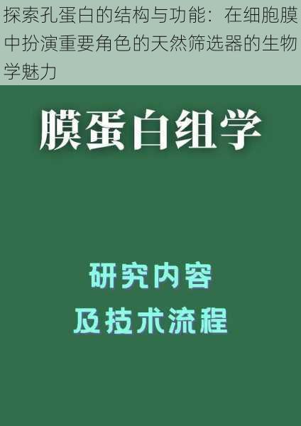 探索孔蛋白的结构与功能：在细胞膜中扮演重要角色的天然筛选器的生物学魅力