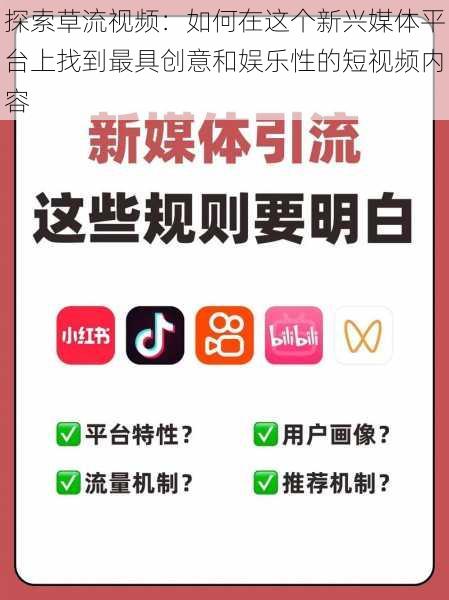 探索草流视频:如何在这个新兴媒体平台上找到最具创意和娱乐性的短视频内容