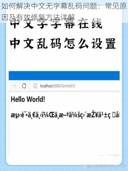 如何解决中文无字幕乱码问题:常见原因及有效修复方法详解