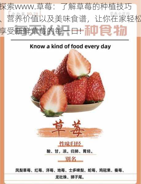 探索www.草莓:了解草莓的种植技巧、营养价值以及美味食谱,让你在家轻松享受新鲜草莓的每一口!