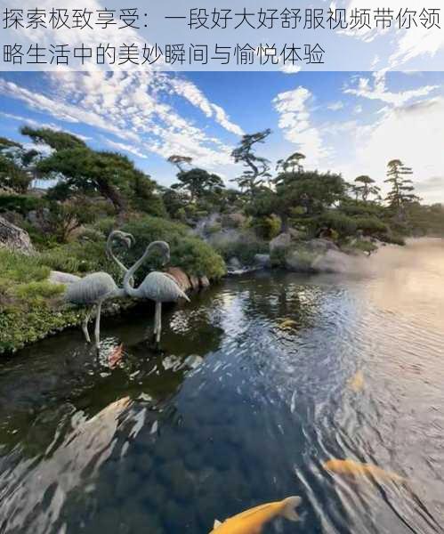 探索极致享受:一段好大好舒服视频带你领略生活中的美妙瞬间与愉悦体验