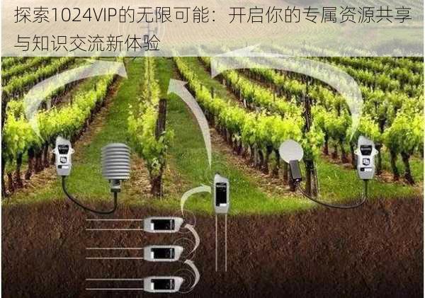 探索1024VIP的无限可能：开启你的专属资源共享与知识交流新体验
