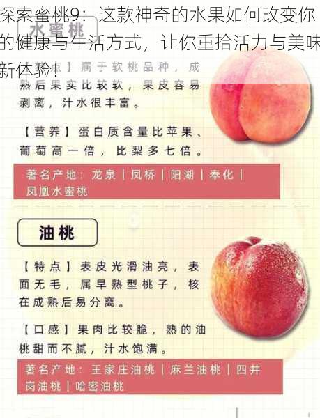 探索蜜桃9:这款神奇的水果如何改变你的健康与生活方式,让你重拾活力与美味新体验!