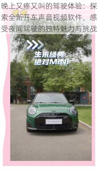 晚上又疼又叫的驾驶体验:探索全新开车声音视频软件,感受夜间驾驶的独特魅力与挑战