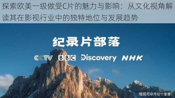 探索欧美一级做受C片的魅力与影响:从文化视角解读其在影视行业中的独特地位与发展趋势