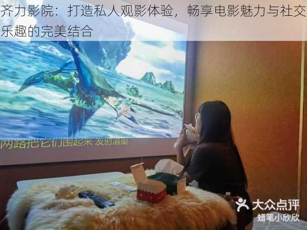 齐力影院:打造私人观影体验,畅享电影魅力与社交乐趣的完美结合