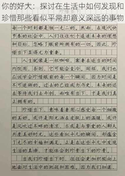 你的好大：探讨在生活中如何发现和珍惜那些看似平常却意义深远的事物