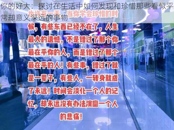 你的好大：探讨在生活中如何发现和珍惜那些看似平常却意义深远的事物