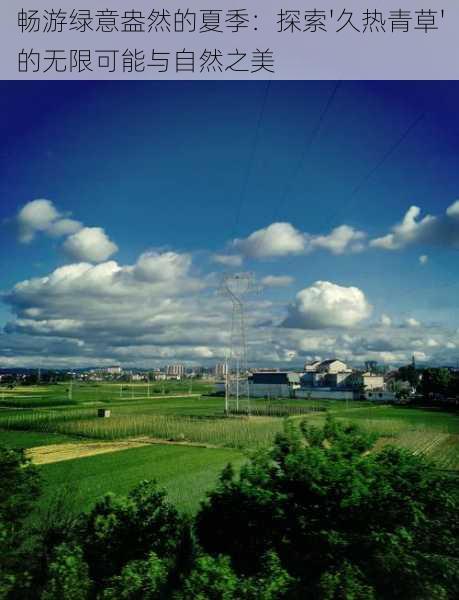 畅游绿意盎然的夏季:探索'久热青草'的无限可能与自然之美
