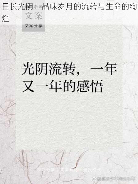 日长光阴:品味岁月的流转与生命的绚烂