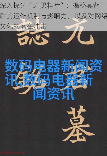 深入探讨“51黑料社”:揭秘其背后的运作机制与影响力,以及对网络文化的潜在冲击