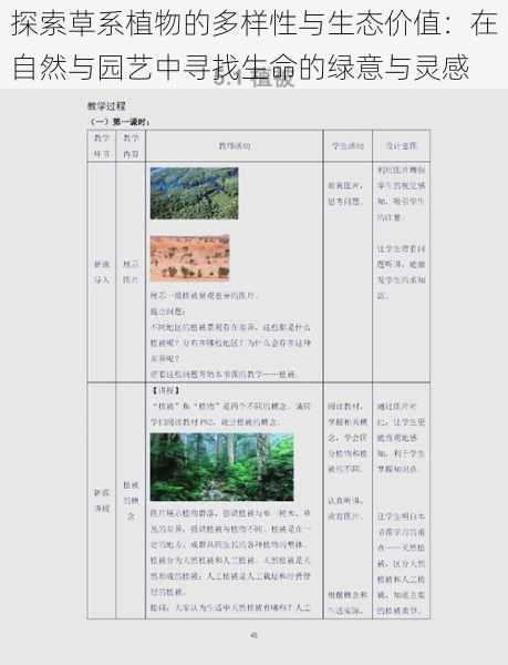 探索草系植物的多样性与生态价值:在自然与园艺中寻找生命的绿意与灵感