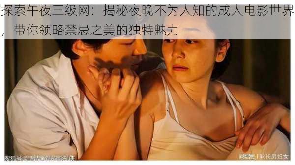 探索午夜三级网:揭秘夜晚不为人知的成人电影世界,带你领略禁忌之美的独特魅力