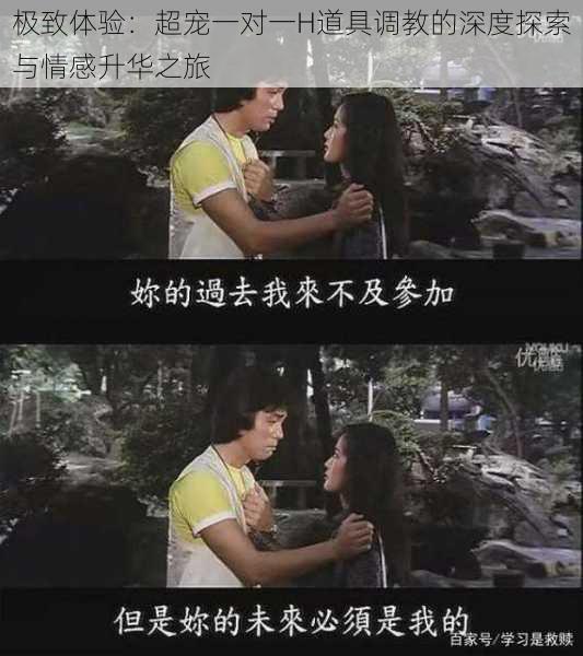 极致体验:超宠一对一H道具调教的深度探索与情感升华之旅