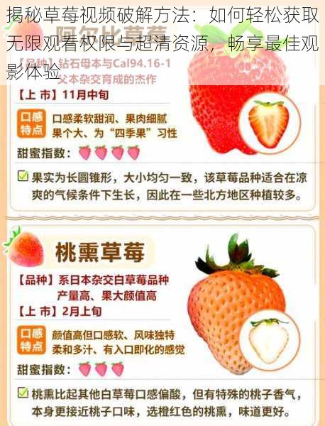 揭秘草莓视频破解方法:如何轻松获取无限观看权限与超清资源,畅享最佳观影体验