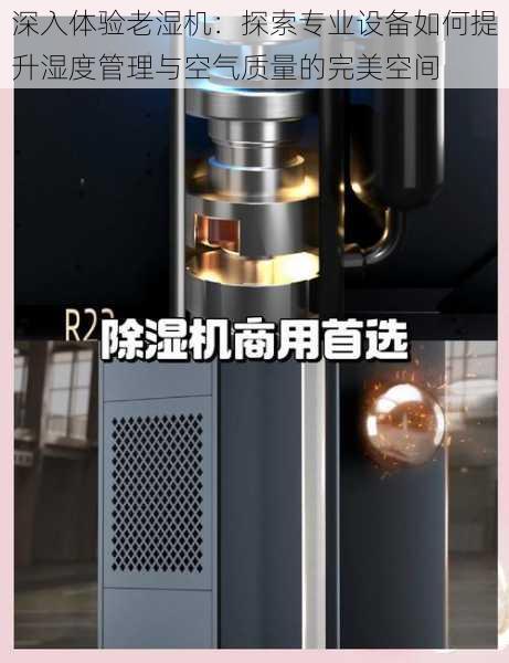 深入体验老湿机:探索专业设备如何提升湿度管理与空气质量的完美空间