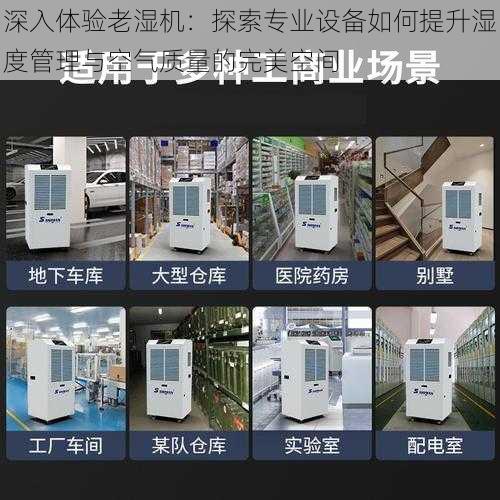 深入体验老湿机：探索专业设备如何提升湿度管理与空气质量的完美空间