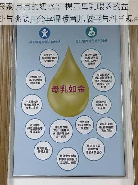 探索‘月月的奶水’:揭示母乳喂养的益处与挑战,分享温暖育儿故事与科学观点