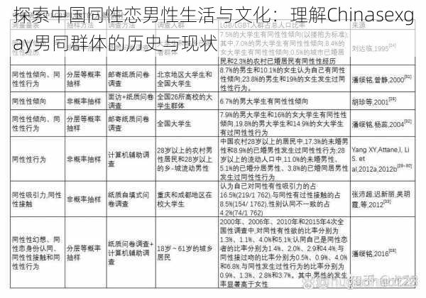探索中国同性恋男性生活与文化:理解Chinasexgay男同群体的历史与现状