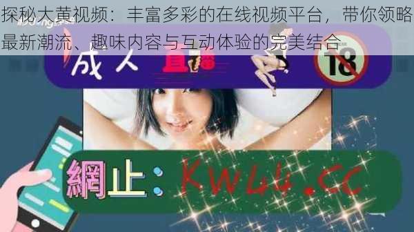 探秘大黄视频:丰富多彩的在线视频平台,带你领略最新潮流、趣味内容与互动体验的完美结合