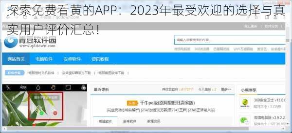 探索免费看黄的APP:2023年最受欢迎的选择与真实用户评价汇总!