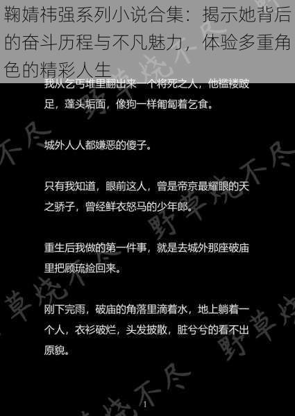 鞠婧祎强系列小说合集:揭示她背后的奋斗历程与不凡魅力,体验多重角色的精彩人生