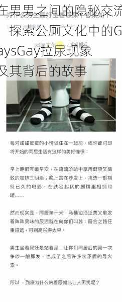 在男男之间的隐秘交流:探索公厕文化中的GaysGay拉尿现象及其背后的故事
