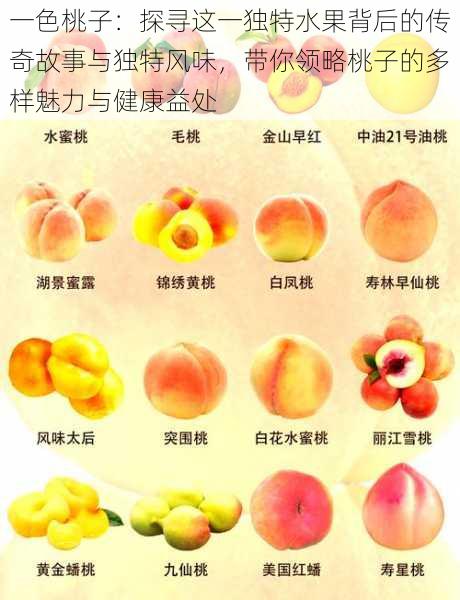 一色桃子:探寻这一独特水果背后的传奇故事与独特风味,带你领略桃子的多样魅力与健康益处