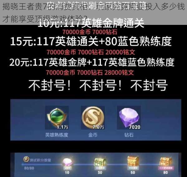 揭晓王者贵7的消费真相:玩家究竟需要投入多少钱才能享受顶级游戏体验?