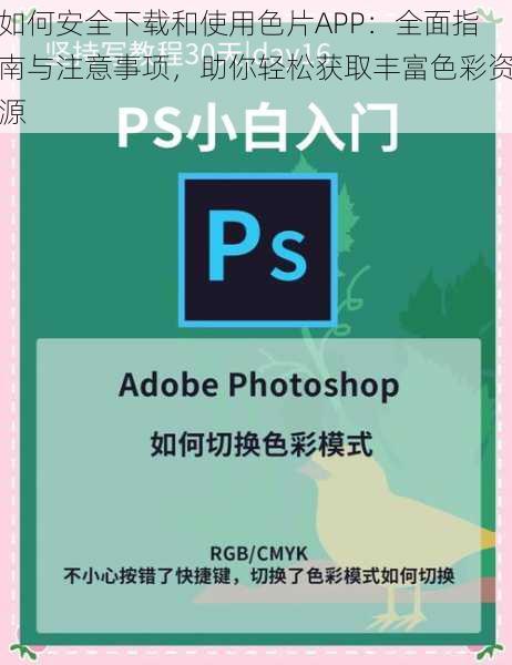 如何安全下载和使用色片APP:全面指南与注意事项,助你轻松获取丰富色彩资源