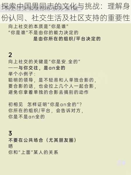 探索中国男同志的文化与挑战：理解身份认同、社交生活及社区支持的重要性
